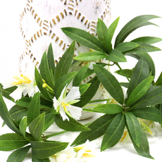 Dawoo F&G 杜英樹枝, 2個, 綠色