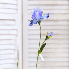 GAPANG 乾花02號 DRYE051, 藍色