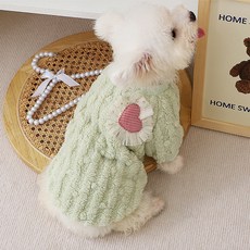 PASTEL PET 寵物愛心蕾絲T恤, 綠色