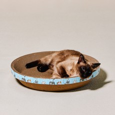 개과천선 고양이 어몽드 글램 스크래쳐, 블루 - 대형, 블루, 1개