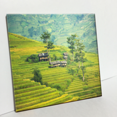 HTP 瓷磚 C493 泰國房屋, 燒製瓷磚, 1個