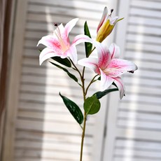 GAPANG 乾燥花 2號 DRYE029, 粉紅色