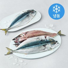 중매인신훈식 맑은소금 제주 자반고등어 특대 (냉동), 1개, 1kg(3미)