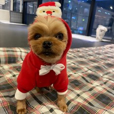 Atipet亮點簡約聖誕連帽T, 紅色, 1個