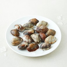 국내산 효성푸드주식회사 갯마을 생 바지락 (냉장), 1개, 300g