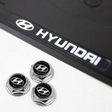 XFIT 現代原廠車牌螺栓組, 1套