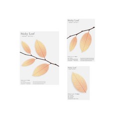 Appree Sticky Leaf 透明便利貼 透明樺木 3件組, 橘色, 1套