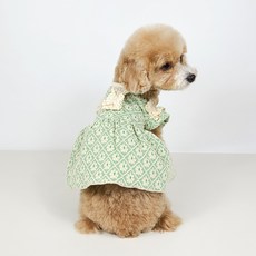 그루밍독 반려동물 플라워 자카드 토숀 레이스 원피스, APPLE GREEN, 1개