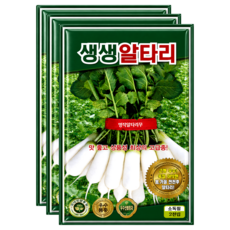 씨앗팜 생생 알타리씨앗 2000립, 3개