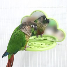 朵朵雲朵鏡, 綠色, 1個