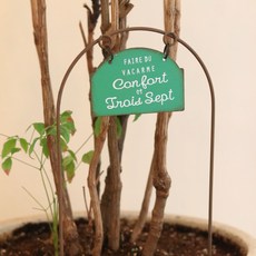 센트바스켓 해피무드 핸드메이드 화분 가든픽, 컨포트 그린