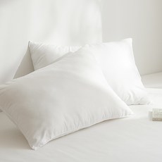 ARPEGGIO BASIC 蓬鬆雲朵枕芯, 白色, 2個