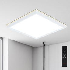 LISHIN Vitson Wonha LED 無頻閃 IS 50W 雙色方形吸頂燈 562 x 562 mm + 遙控器套組, 白色 + 晝光色,燈泡色