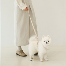 펫프렌즈 뮤트 강아지 H 하네스 + 핸즈프리 리드줄 세트, 아이보리, 1세트