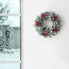 MORIANN 聖誕紅莓圓形花環 + 燈飾組, 單一顏色, 直徑 21.5cm, 1個