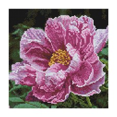 KMELLIE 3D 畫框式方形鑽石畫 DIY 40 x 40 cm, 富貴牡丹, 1個