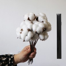 그린허그 디퓨저 목화 묶음 + 데코 스틱 5p 세트, 혼합색상, 1개