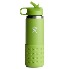 Hydro Flask 寬口吸管蓋保溫瓶, 海草綠, 591ml, 1個