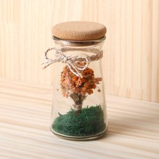 ROMANTIC NOVEMBER 滿天星乾燥花迷你瓶 220ml, 秋日橙