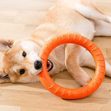 Petconomy 狗狗矽膠環玩具, 橘色, 1個