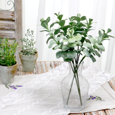 Daew F&G卡蘭古埃, 4個, 綠色