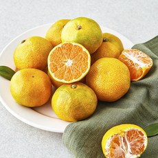 제이드가든 당도선별 10brix 감귤, 500g, 1개