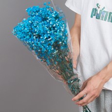 소니오 프리저브드플라워 소형 안개꽃 꽃다발, 01 블루