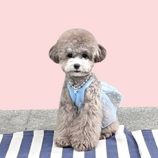 Grooming Dog 狗狗爆米花透視短版連身裙, 藍色