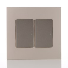 第一電氣工業Adonis開關 香檳金 1排 2孔 2個用, 1個