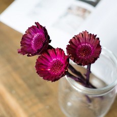 人造乾燥花, 16號 紅色, 1個