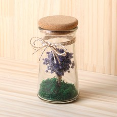 ROMANTIC NOVEMBER 霧花透明迷你瓶 220ml, 紫色的