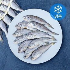 영광법성포 실속형 굴비 20미 (냉동), 1개, 800g