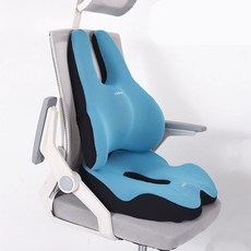 現在今日6D替換腰保護辦公室椅靠墊孕婦椅+新款立體工學坐墊組, 藍色