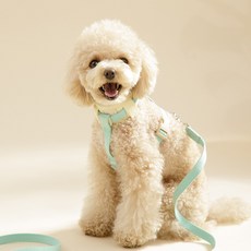 hitzzi 狗狗超輕量舒適無抗拒感H型胸背帶, 薄荷綠