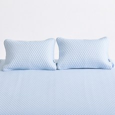 바운티풀 폴라온 냉감침구 아이스 밴딩 베개커버