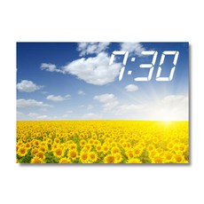 Homemine 帆布印刷畫框系列 LED時鐘 向日葵風景 A3, 8