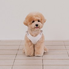 likalika 寵物 Breeze Walk 胸背帶, 暖灰色