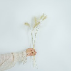 GAPANG 乾花拉格斯 DRYB237, 01黃色