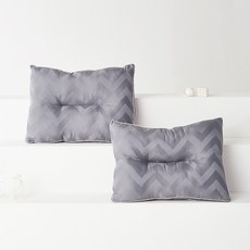 라뽐므 데인티 알러지케어 3D 입체 베개솜, 그레이, 2개