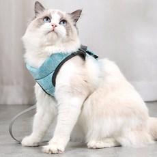 Simplyanne 貓線束 M, 薄荷