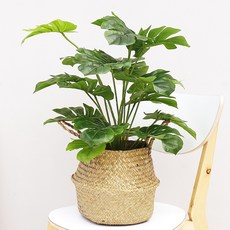 人造植物盆栽DIY組, 混色, 1組