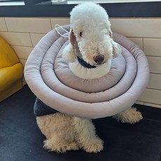 MAAH 大型犬用頸圈, 1個, 淺灰色