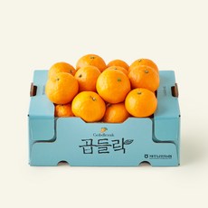 제주 남원농협 곱들락 카라향 랜덤과, 1개, 2kg