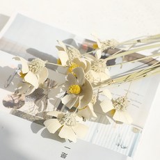 GAPANG 乾燥花 DRYJ012, 03