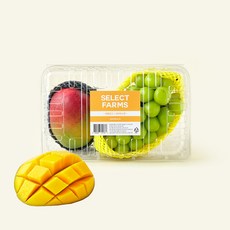 셀렉트팜 애플망고 샤인머스켓 혼합팩, 1개, 1.2kg