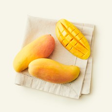 원월드 태국산 마하차녹 망고 3개입, 1개, 900g