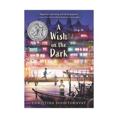 A Wish in the Dark, Candlewick, 英文, 平裝版