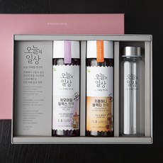 오늘의일상 블렌딩티 2입 선물세트 캐모마일 400ml 1개+자몽허니 400ml 1개+텀블러, 800ml, 1세트