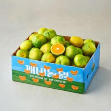 깨비농원 감귤, 1개, 5kg(랜덤과)