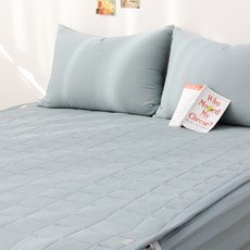 Lucidsleep Amelie水洗固定鬆緊帶薄墊, Misty Jade